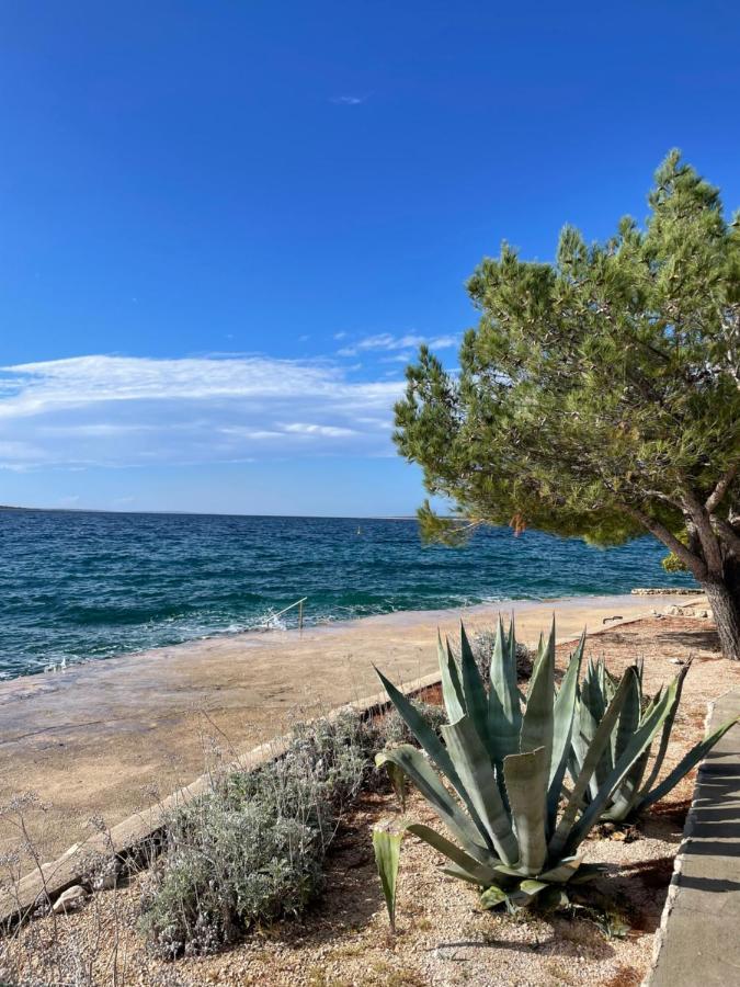 Sea View Mandre Apartment Exterior photo